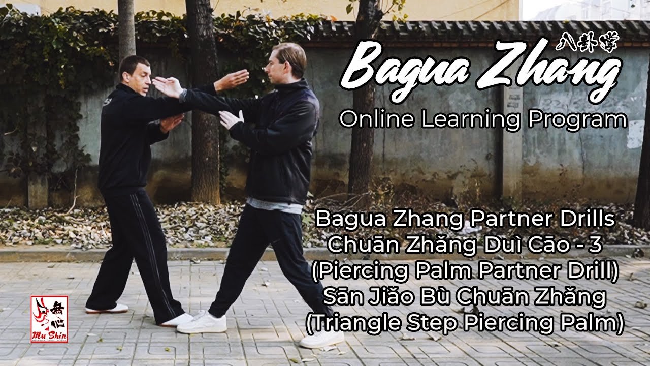 baguazhang dao