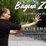 baguazhang spear