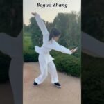 baguazhang dao