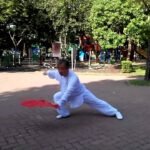 baguazhang deer horn