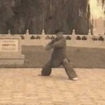 baguazhang spear