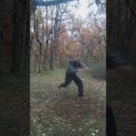 baguazhang