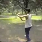 baguazhang deer horn