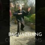 baguazhang dao