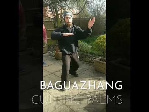 baguazhang dao