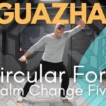 baguazhang