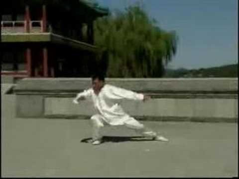 baguazhang spear