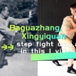 baguazhang