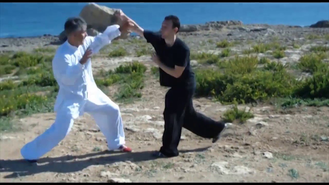 baguazhang dao