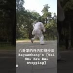 baguazhang