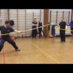 baguazhang spear