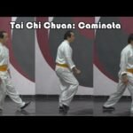 tai chi chuan