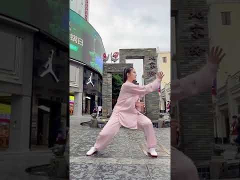 tai chi chuan