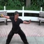 baguazhang dao