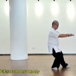 tai chi chuan