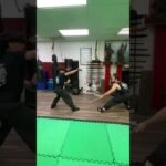 baguazhang spear