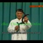 baguazhang spear