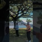 tai chi chuan