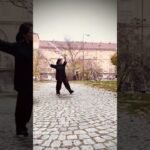 tai chi sword