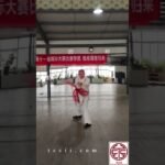 baguazhang spear