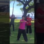 tai chi chuan