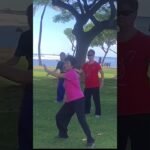 tai chi chuan