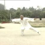 baguazhang dao