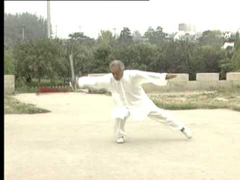 baguazhang dao