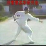 baguazhang dao