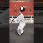 tai chi chuan