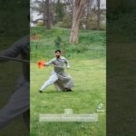 baguazhang spear