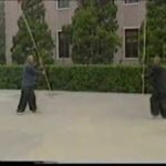 baguazhang spear