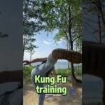 baguazhang