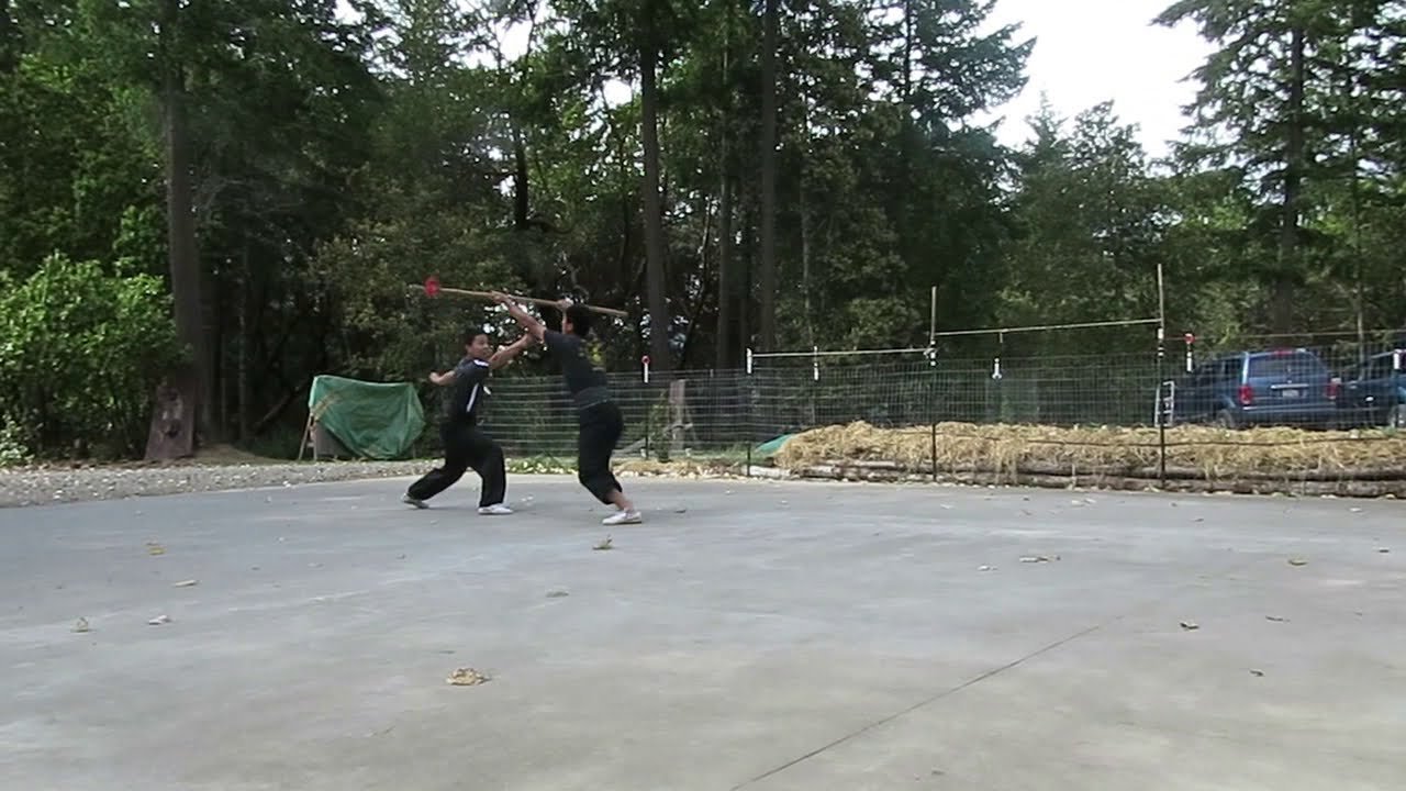 baguazhang spear