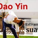 dao yin