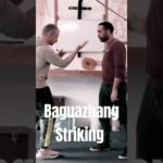 baguazhang