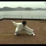 baguazhang dao