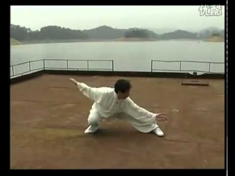 baguazhang dao