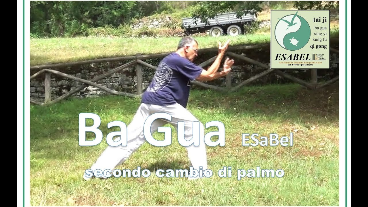 baguazhang