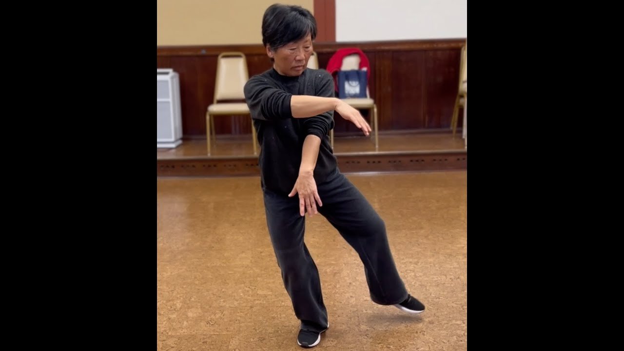 tai chi chuan