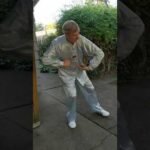 baguazhang spear