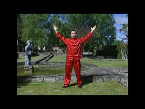 tai chi chuan