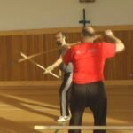 baguazhang spear