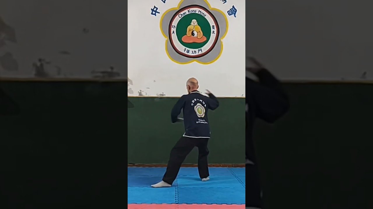 tai chi chuan