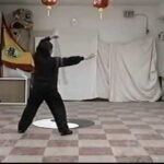 baguazhang spear