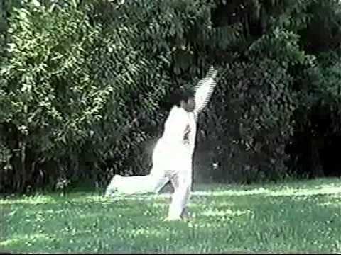 baguazhang spear