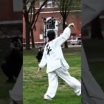 tai chi sword