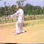 baguazhang spear