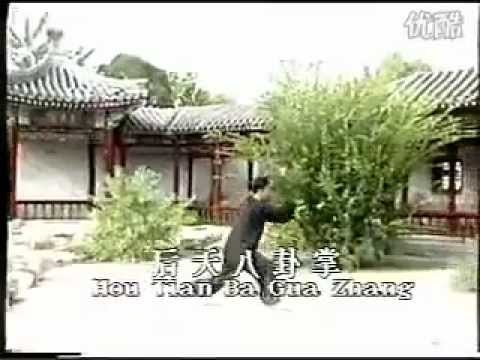 baguazhang spear