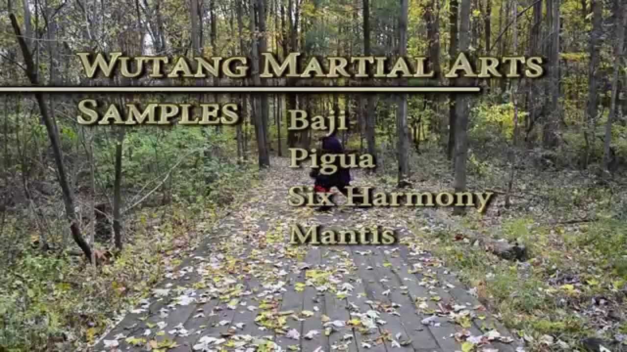 baguazhang spear